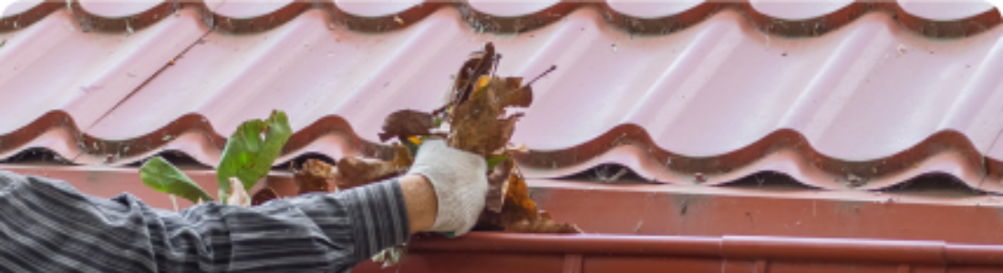 Como Limpar a Calha  24 HORAS